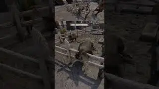 Свинья застряла #top #funny #moment #kingdomcomedeliverance2