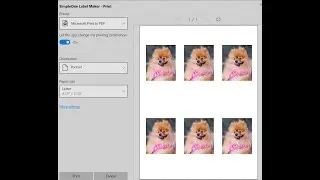 How to quickly print multiple photos on a single page / Windows 11 / Windows 10
