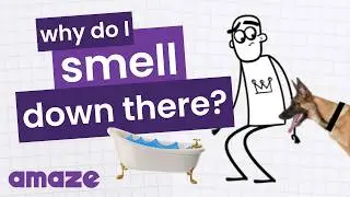 Why Do I Smell Down There? #AskAMAZE