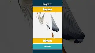 🇬🇧🇫🇷 heron - h&eacute;ron : learn English : apprenons l'anglais : vocabulary builder