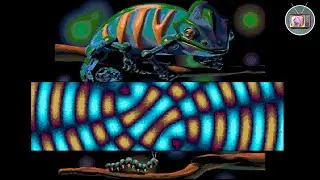 Darwins Dilemma by Cerebral Vortex, DHS & SMFX (2020) | Atari ST Demoscene
