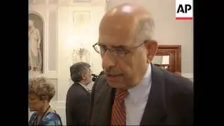 IAEA chief comments on Iraq