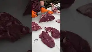 Cutting up a deer carcass & making it simple