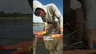 This Fish Has TEETH?! Wild Catch & Safe Release #CatchAndRelease #GarFishing #fyp #Amazing #trending
