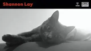 Shannon Lay - Blue