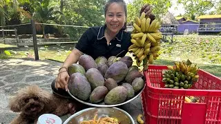 TÁC PHẨM CÂY NHÀ LÁ VƯỜN/LONG KHÁNH QUÊ EM