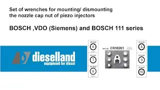 DL-CR50261. Set of wrenches for mounting/dismounting the nozzle cap nut of piezo injectors