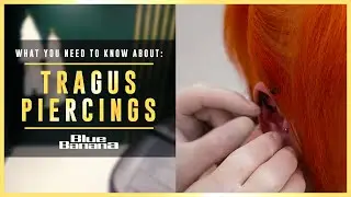 Tragus Ear Piercing at Blue Banana | What You Need To Know about Tragus Piercings 🖤