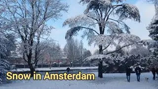 Snow in Amsterdam. First winter walk in the park ❄