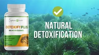 Sea Moss Benefits | Introducing DetoxifyPlus Capsules