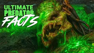 Ultimate Predator - Rare & Little-Known Facts About Predators