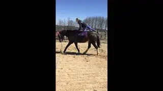 Vaulting 4/21/2020