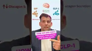 Understanding GIP & GLP-1 with Tirzepatide! #shorts #Tirzepatide #Diabetes #Health