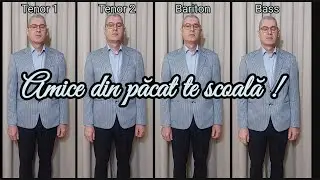 Amice din păcat te scoală!