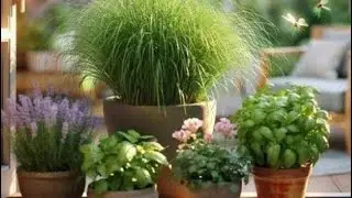 የስደት ገጠመኛቹ አካፍሉን