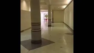 Zadig the Jasp - デッド・モール Dead 70s Mall