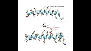 Semaglutide vs Tirzepatide Real World Data Reveals Parity in Heart Protection