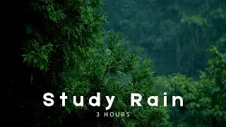 Rain Sounds for Reading & Studying (3 Hours) | Forest Background