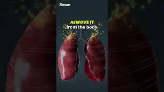 Detox and cleanse your lungs l Lung Cleanser drink with dual action formula of NAC + Vitamin C