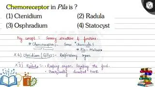 Chemoreceptor in Pila is? (1) Ctenidium (2) Radula (3) Osphradium