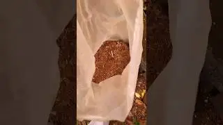 A Din&acirc;mica Inicial da Compostagem