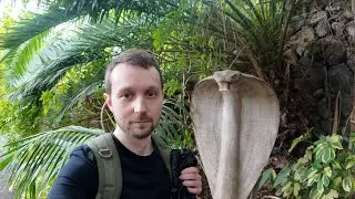 Jungle Park, Southern Tenerife