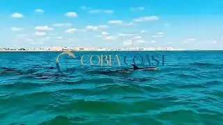 Destin Florida Luxury Vacation Rentals Near Harbor