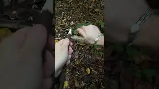 #knife #blade #edc #edccommunity #edcdaily #edcknives #instaknife #knifeguy #bladeporn #edcporn