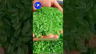 😱 Plastic Rice?