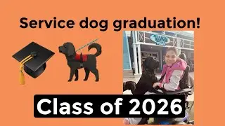 The service dog takes the public access test and graduates.