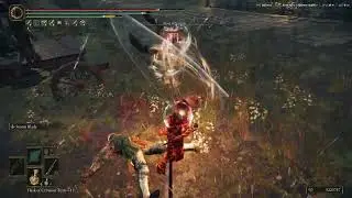 Elden Ring Invasion &ndash; Dismounter Blood+25 & Storm Blade VS Host of Fingers normal adam