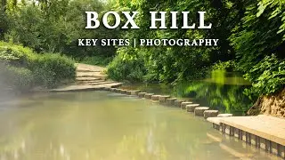 Exploring Box Hill, Surrey | Stepping Stones, Footbridge & Yew Woods