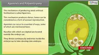 Apomixis and Polyembryony | Sexual Reproduction in Flowering Plants | Biology | Class 12th | iPrep