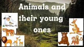 Animals and their young ones, animals and their babies #animalpets