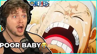 Kuma's Memories are Heart-Breaking😭 One Piece 1106-1107 Reaction