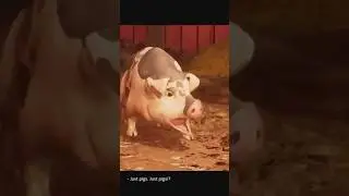 WOW
