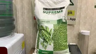 Peas seed supreme | Certus Seed | 60 to 65 days maturty | evyol group | Kissan Ghar | peas farming
