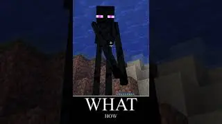 Minecraft: Cursed Enderman Tiktok Meme #shorts