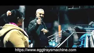 paper egg tray machine for slae