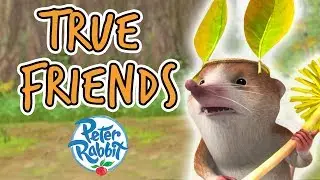 Peter Rabbit -  The Adventures of True Friends | Summer Cartoons for Kids