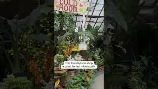 DIY Orchid Garden Lets You Build Your Own Gift for Mom or Partner