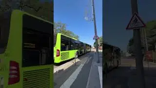 Mercedes benz Citaro G Facelift &euro;4 voith n&deg;0951