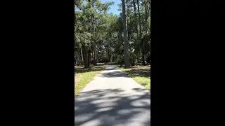 A Peddler's Paradise 2: Exploring Hilton Head Island's Scenic Bike Paths