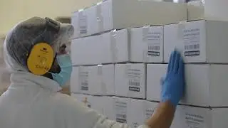 Il Piceno direttamente sulla tua tavola