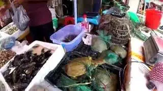 紅街市 | Red Market in Macao | Mercado Vermelho em Macau - Gopro