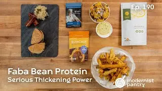 Faba Bean Protein: Serious Thickening Power. WTF - Ep. 190