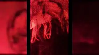 Blvck Stvrr - BloodLust (Official Visualizer)