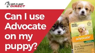Can I use Advocate on my puppy?