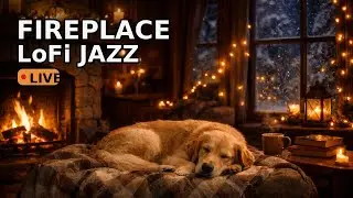 Cozy Fireplace LoFi Jazz LIVE | Winter Night Ambience (Golden Retriever, Snow)