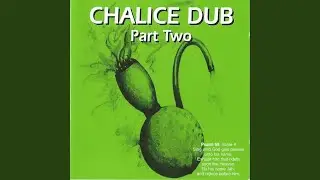 Spliff Party Dub (Organic)